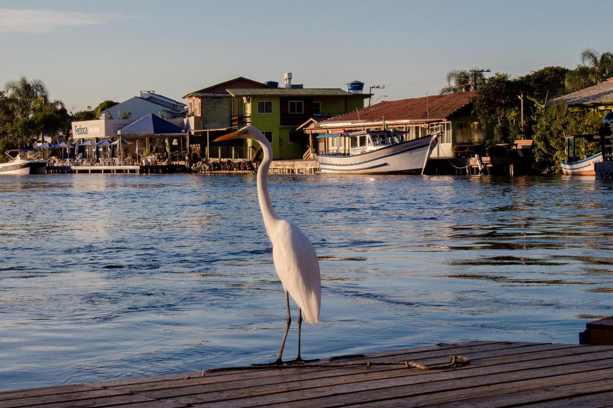 Pousada Quinta Da Margem Florianópolis Dış mekan fotoğraf