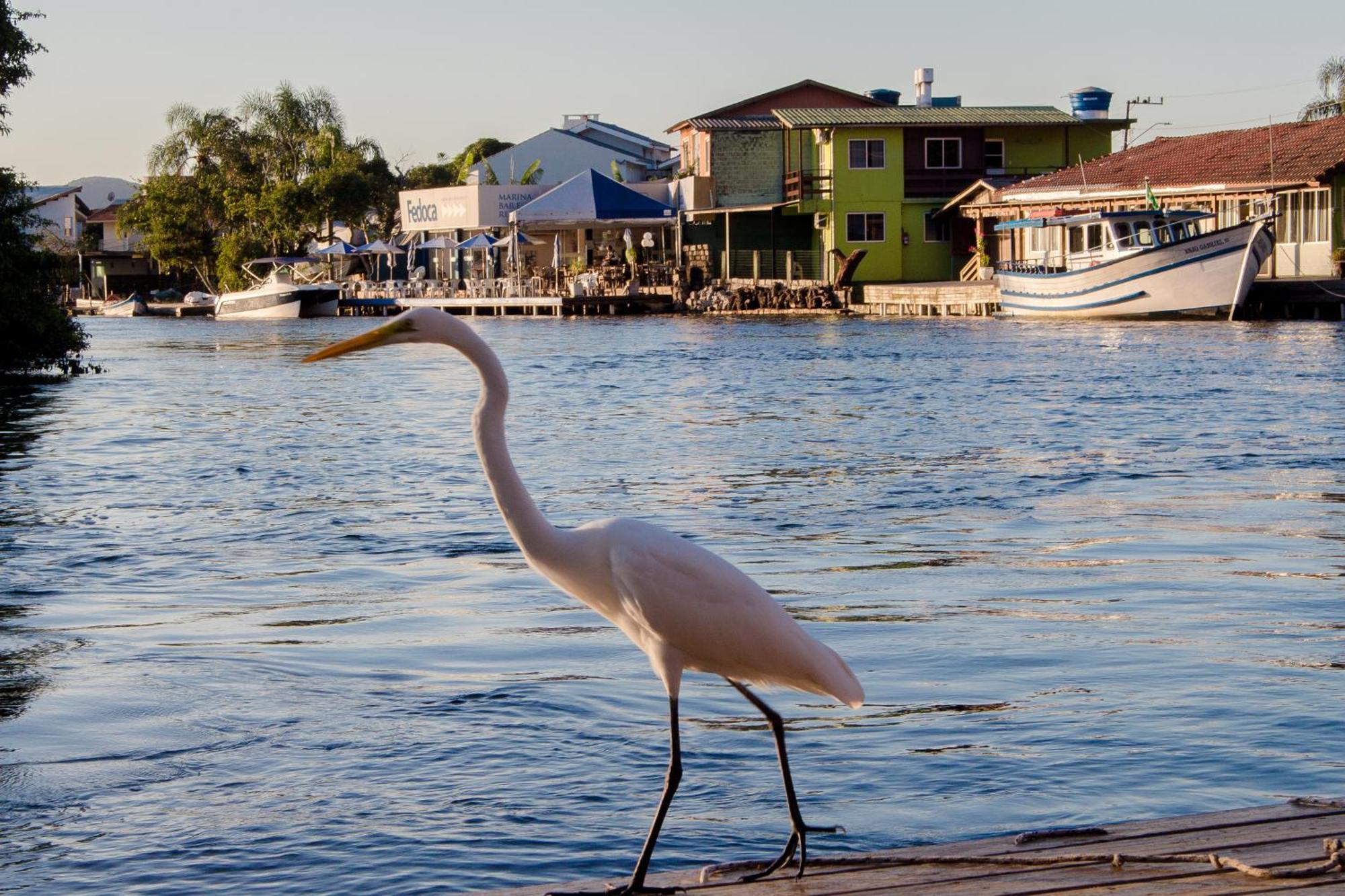 Pousada Quinta Da Margem Florianópolis Dış mekan fotoğraf